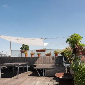 Rooftop Terrace Oasis Berlin